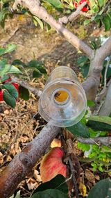 팜모닝 8월 내 작물 자랑하기·참여글 게시글 이미지