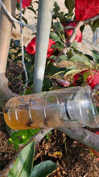 가산농장님의 8월 내 작물 자랑하기 · 참여글 작성글 사진