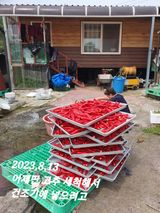 팜모닝 고추·일상 게시글 이미지