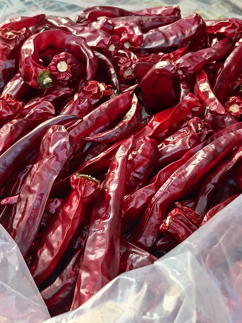 장터 상품 [건고추 600g  ] 썸네일