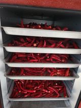 팜모닝 고추·영농일지 게시글 이미지