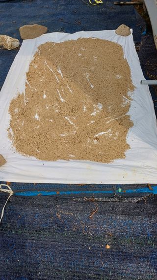 박순덕님의 참깨 · 자유게시판 작성글 사진