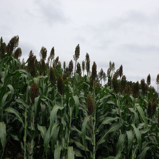 오명희 님의 자유주제 · 자유게시판 작성글 사진