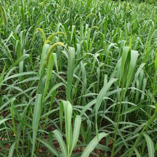 오명희 님의 자유주제 · 자유게시판 작성글 사진