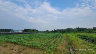 엄성열님의 콩 · 영농일지 작성글 사진