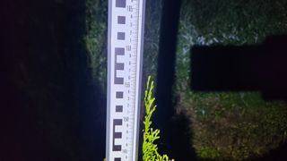 연지골농원_단야님의 8월 내 작물 자랑하기 · 참여글 작성글 사진