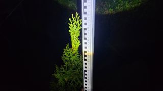 연지골농원_단야님의 8월 내 작물 자랑하기 · 참여글 작성글 사진