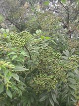 팜모닝 장터이야기·자유게시판 게시글 이미지