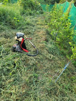 하는 일마다 대박!님의 기타작물 · 자유게시판 작성글 사진