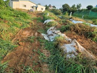 하는 일마다 대박!님의 기타작물 · 자유게시판 작성글 사진