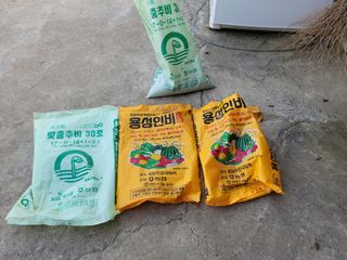 하는 일마다 대박!님의 기타작물 · 자유게시판 작성글 사진