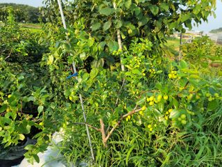 하는 일마다 대박!님의 기타작물 · 자유게시판 작성글 사진