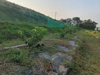 하는 일마다 대박!님의 기타작물 · 자유게시판 작성글 사진