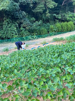 김한필님의 8월 내 작물 자랑하기 · 참여글 작성글 사진