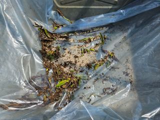 마중물0715님의 참깨 · 자유게시판 작성글 사진