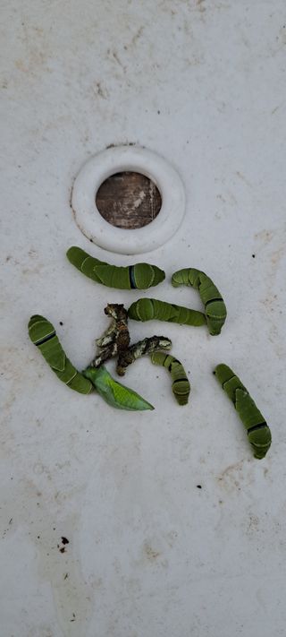 박용덕님의 자유주제 · 자유게시판 작성글 사진