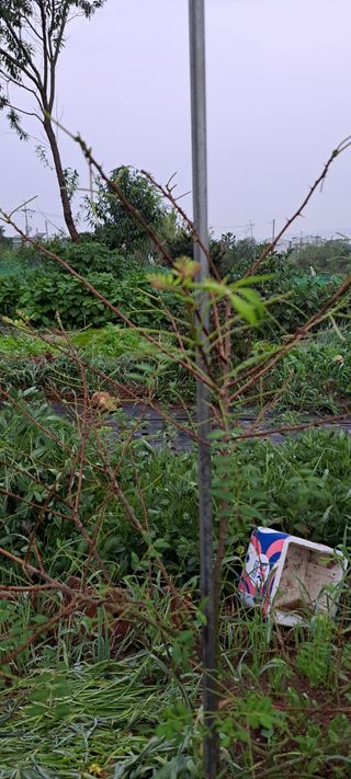 박용덕님의 자유주제 · 자유게시판 작성글 사진