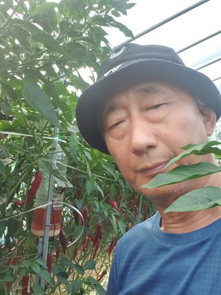 밤까시 여주농장님의 기타작물 · 자유게시판 작성글 사진