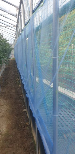 밤까시 여주농장님의 기타작물 · 자유게시판 작성글 사진