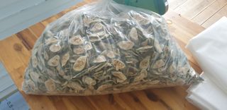 밤까시 여주농장님의 기타작물 · 자유게시판 작성글 사진