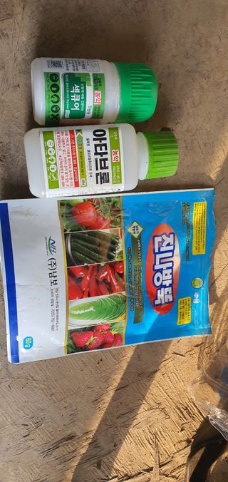 박진욱님의 기타작물 · 병해충상담 작성글 사진