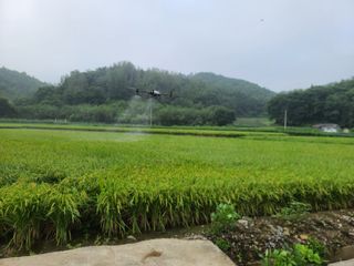 강기동님의 8월 내 작물 자랑하기 · 참여글 작성글 사진