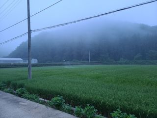 강기동님의 8월 내 작물 자랑하기 · 참여글 작성글 사진