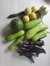 팜모닝 자유주제·자유게시판 게시글 이미지