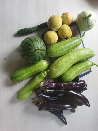 남 샘결 개둥맘님의 자유주제 · 자유게시판 작성글 사진