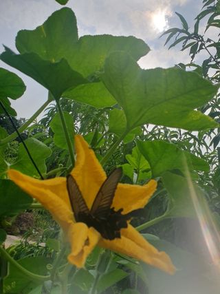 남 샘결 개둥맘님의 자유주제 · 자유게시판 작성글 사진