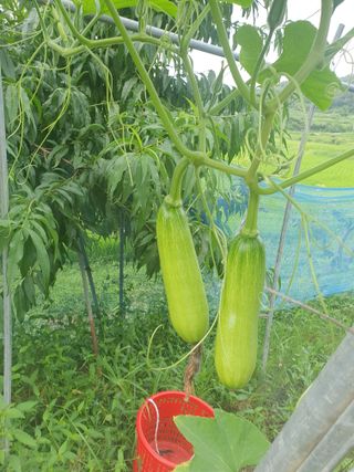 남 샘결 개둥맘님의 자유주제 · 자유게시판 작성글 사진