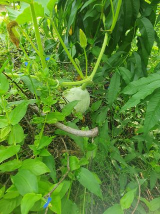 남 샘결 개둥맘님의 자유주제 · 자유게시판 작성글 사진