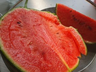 남 샘결 개둥맘님의 자유주제 · 자유게시판 작성글 사진