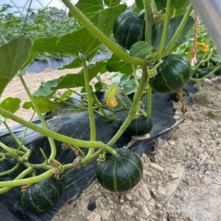 양기원님의 작성글 사진