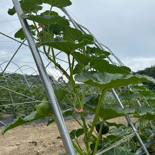 양기원님의 작성글 사진