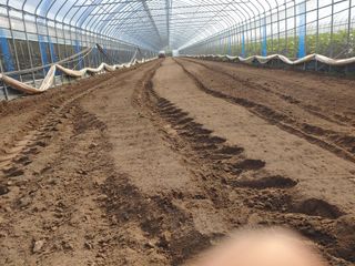 콩나라최여순님의 기타작물 · 자유게시판 작성글 사진