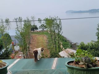 차여사농원 머슴님의 자유주제 · 사진전 작성글 사진