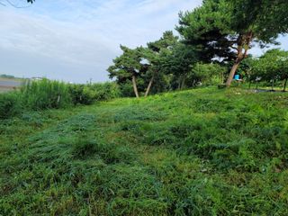 차여사농원 머슴님의 자유주제 · 사진전 작성글 사진