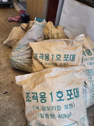 아준님의 참깨 · 자유게시판 작성글 사진