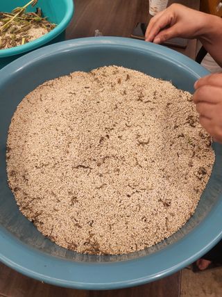 아준님의 참깨 · 자유게시판 작성글 사진