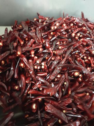 김혜순님의 고추 · 일상 작성글 사진