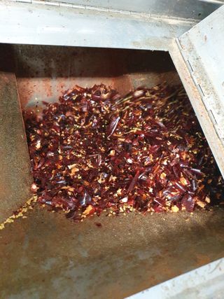 김혜순님의 고추 · 일상 작성글 사진