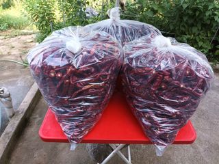 정희군님의 8월 내 작물 자랑하기 · 참여글 작성글 사진