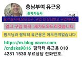 팜모닝 자유주제·자유게시판 게시글 이미지