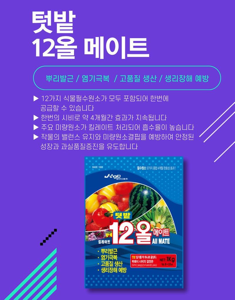 아그로플랜트님의 장터 판매 상품 [텃밭 12올메이트 1kg] 첨부 사진