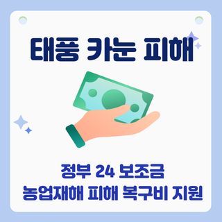 팜모닝님의 팜모닝공식 · 혜택 작성글 사진