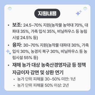 팜모닝님의 팜모닝공식 · 혜택 작성글 사진