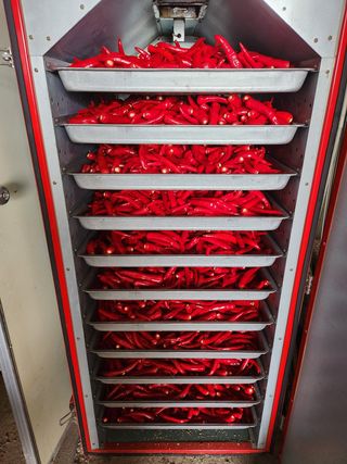 파더곰님의 콩 · 영농일지 작성글 사진