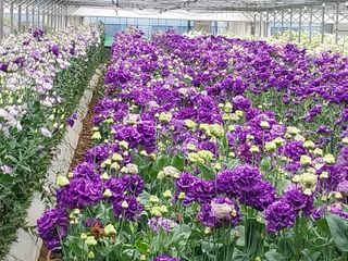 김해농부허외순님의 우리동네 · 동네정보 작성글 사진