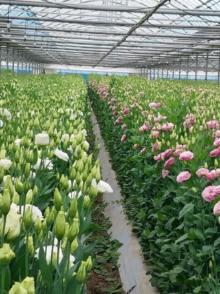 김해농부허외순님의 우리동네 · 동네정보 작성글 사진